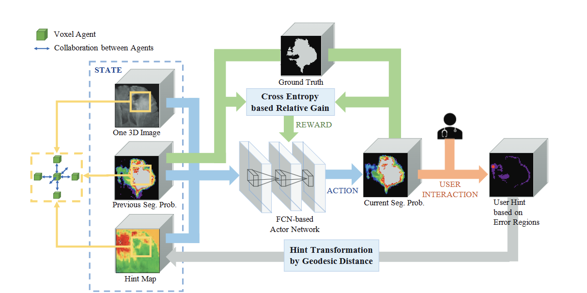 Interactive 3D segmentation figure discussed in the survey. Source: Liao et al., Iteratively-Refined Interactive 3D Medical Image Segmentation with Multi-Agent Reinforcement Learning.